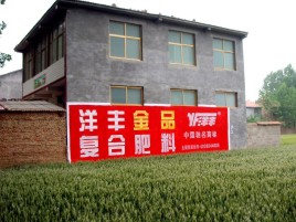 永川如何让墙体广告展现最大化效果