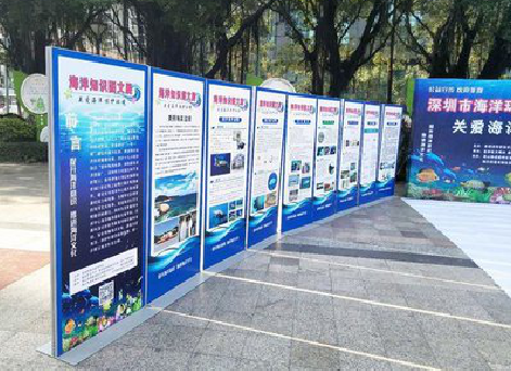 永川KT板的种类和知识。